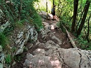 19 Affioramenti di rocce calcaree di colore bianco e rosato